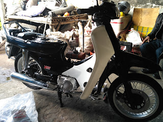 Bengkel Paddock Blue