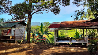 Cafe Vijar