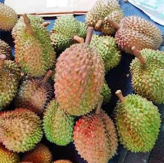 Pak Umar Duren