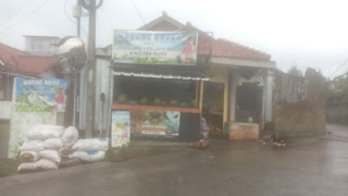 WARUNG ANDRA es kelapa muda