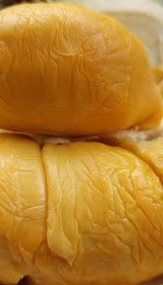 ZELLDA DURIAN